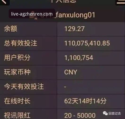 AG真人客户端下载 AG真人百家乐客户端下载详解:从新手到老玩家的实用指南