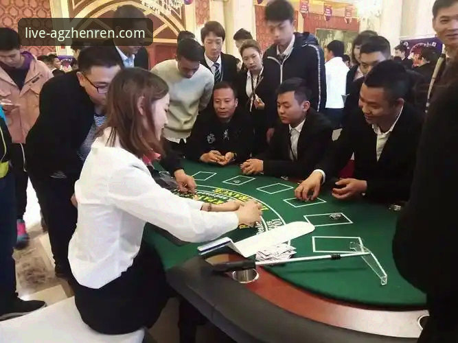 AG真人美女荷官 AG真人美女荷官与百家乐游戏:从入门到精通的完整指南